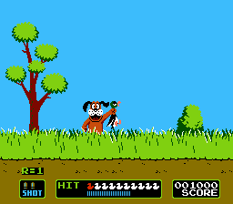 duck_hunt.jpg